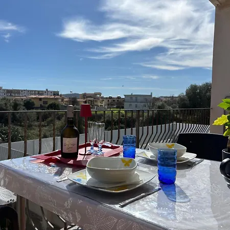 Vacation Vibes トルトリ