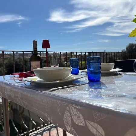 Vacation Vibes トルトリ