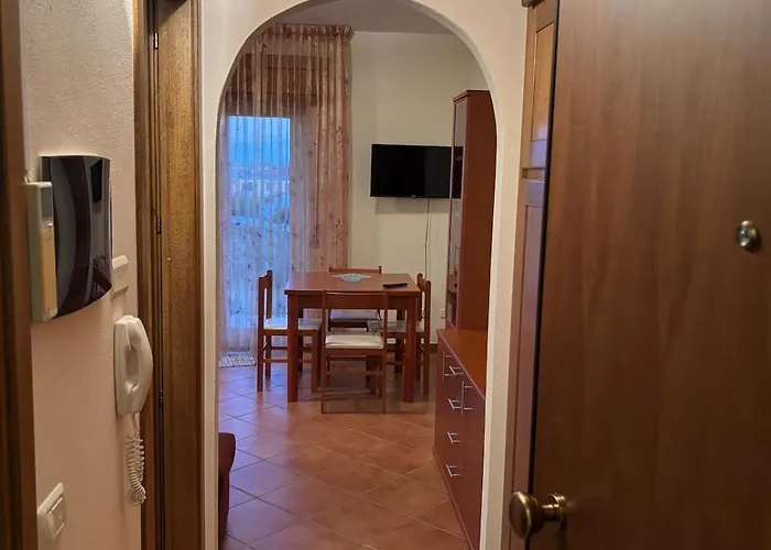 Vacation Vibes トルトリ